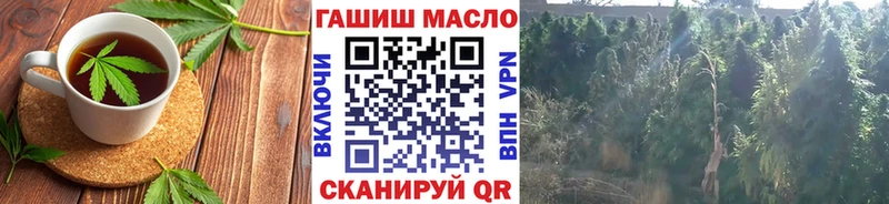 продажа наркотиков  Мышкин  Canna-Cookies конопля 