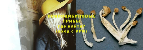 амф Алексин