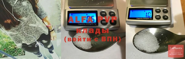 стаф Алзамай
