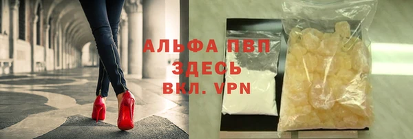 стаф Алзамай