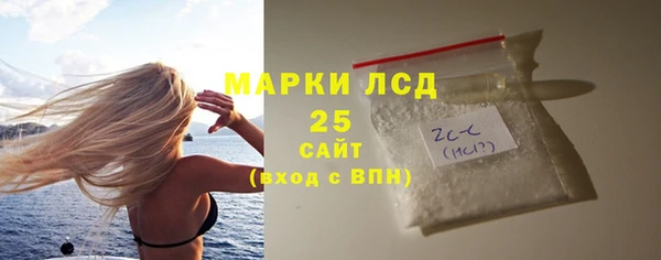 стаф Алзамай