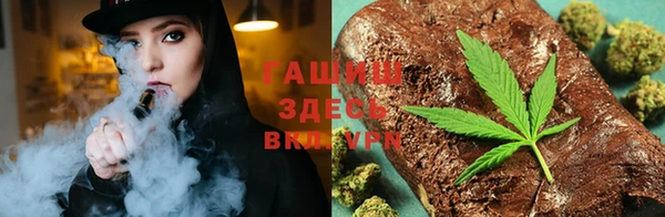 стаф Алзамай